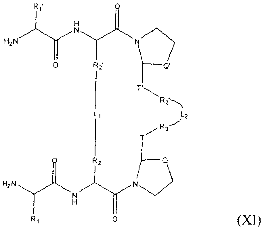 Figure imgf000012_0002