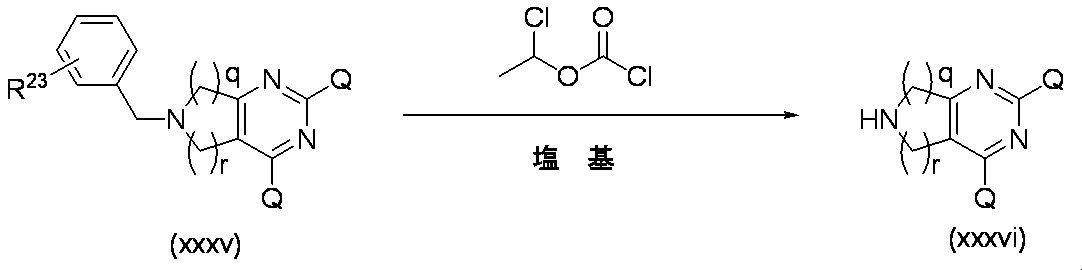 Figure JPOXMLDOC01-appb-C000205