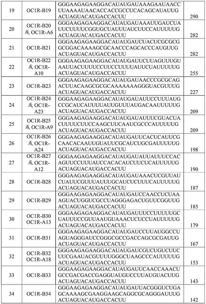 Figure BDA0002402678590000411