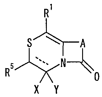 Figure imgf000306_0001
