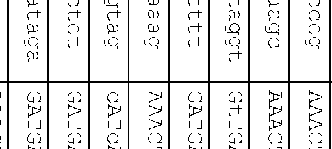 Figure imgf000050_0001