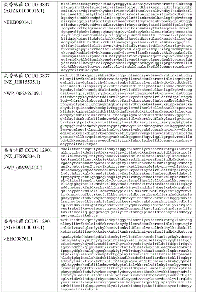 Figure BDA0002313867470003501