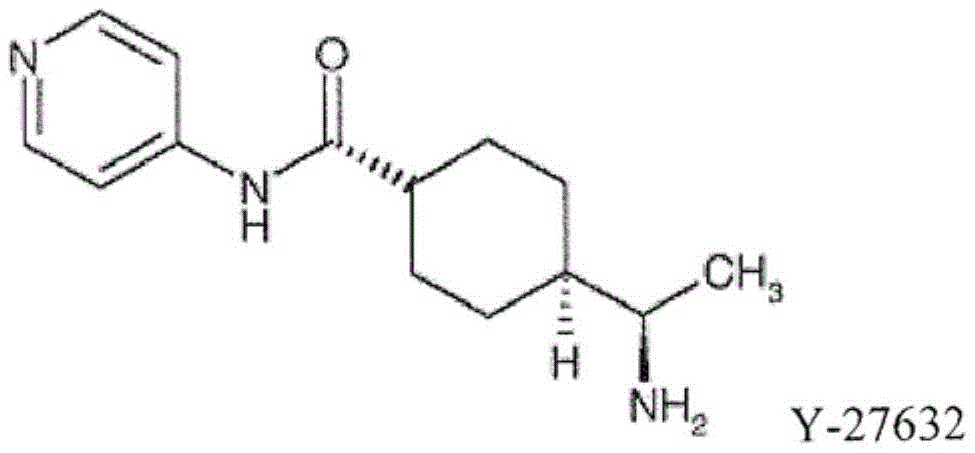 Figure BDA0003026621770000151