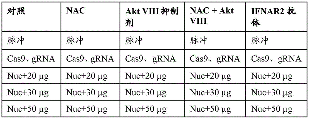 Figure BDA0003657959080002051