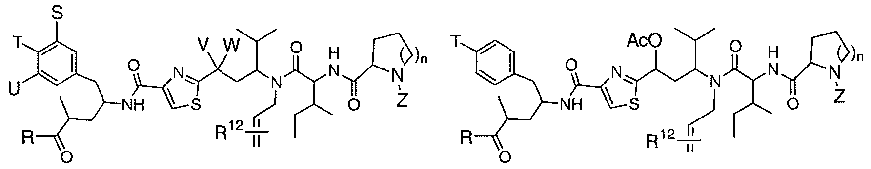 Figure imgf000012_0001