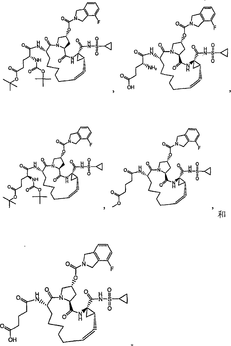 Figure S2006800379454D00041
