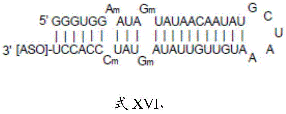 Figure BDA0003264319780000212