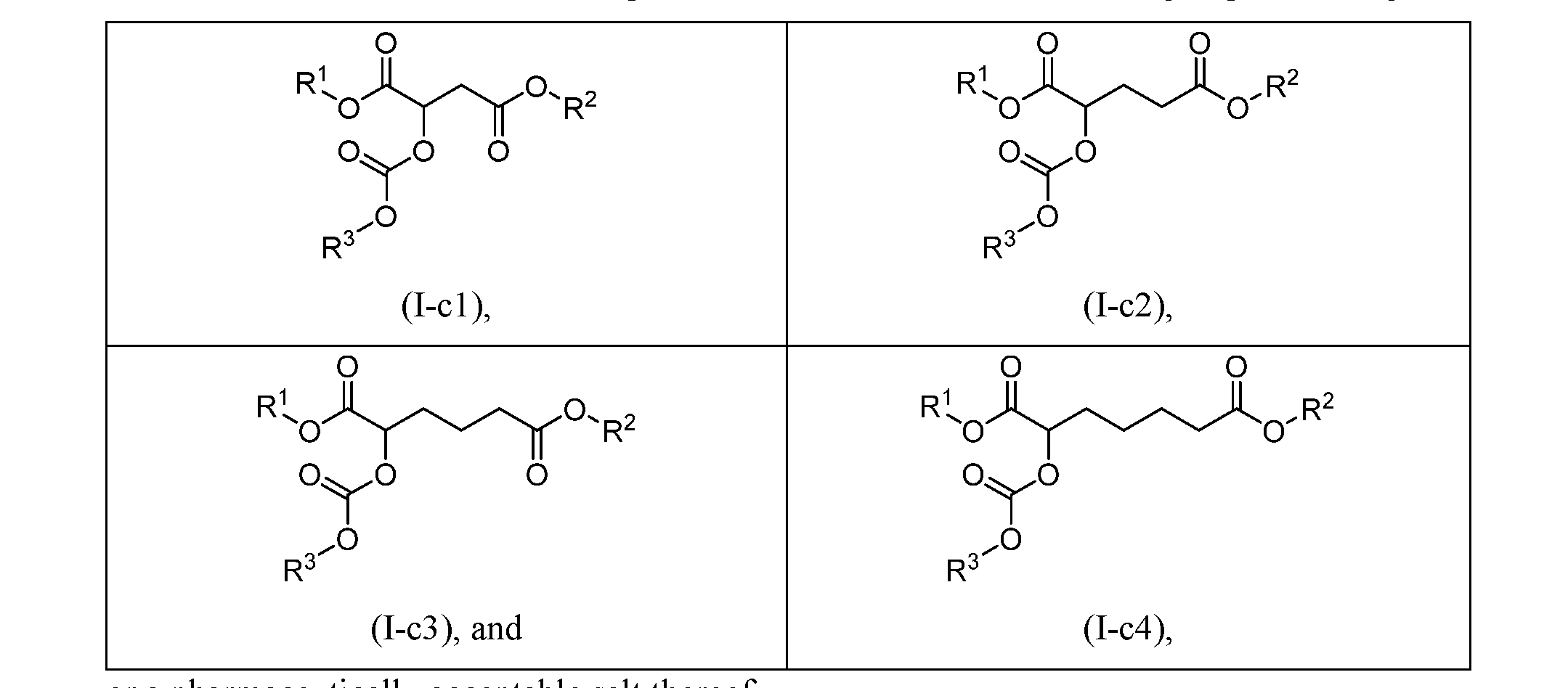 Figure imgf000011_0001