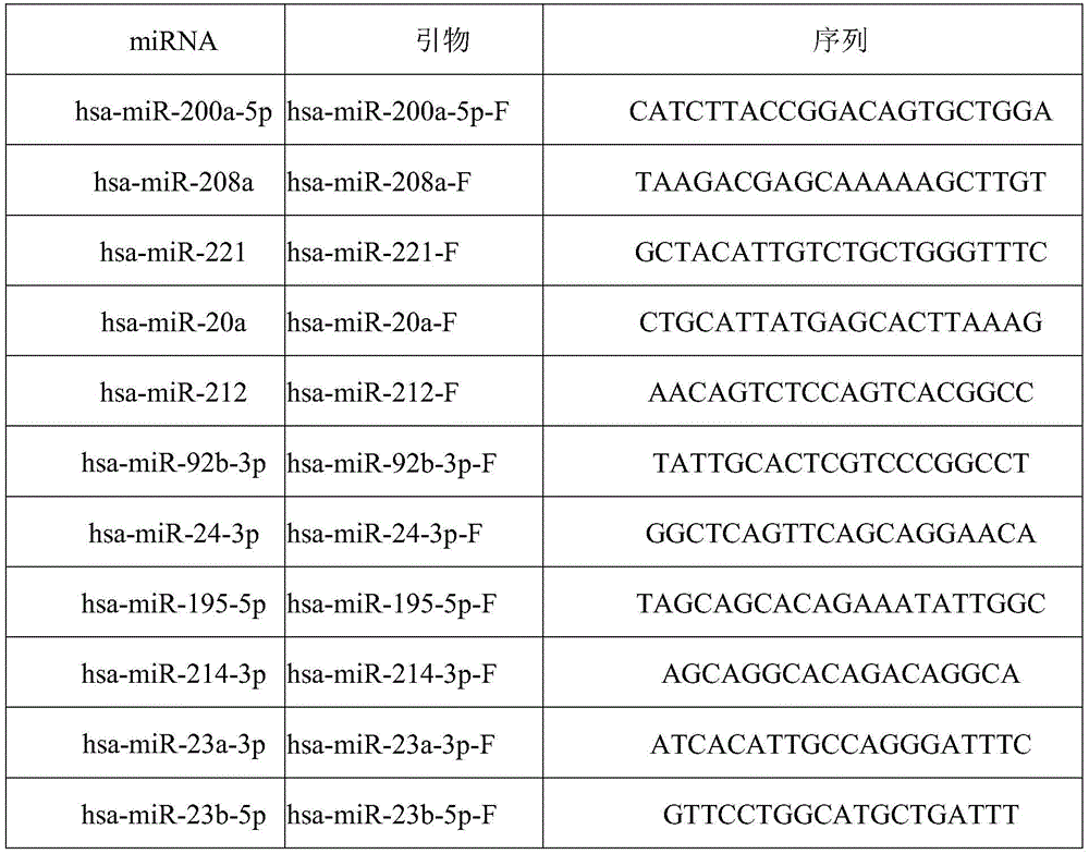 Figure BDA0002764269240000051