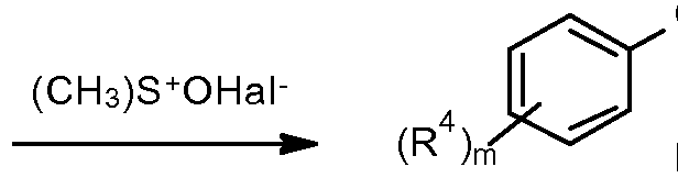 Figure imgf000004_0001