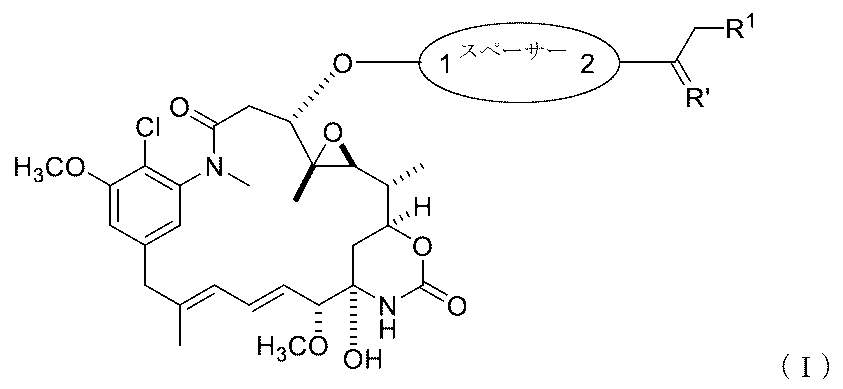 Figure 0007442821000071