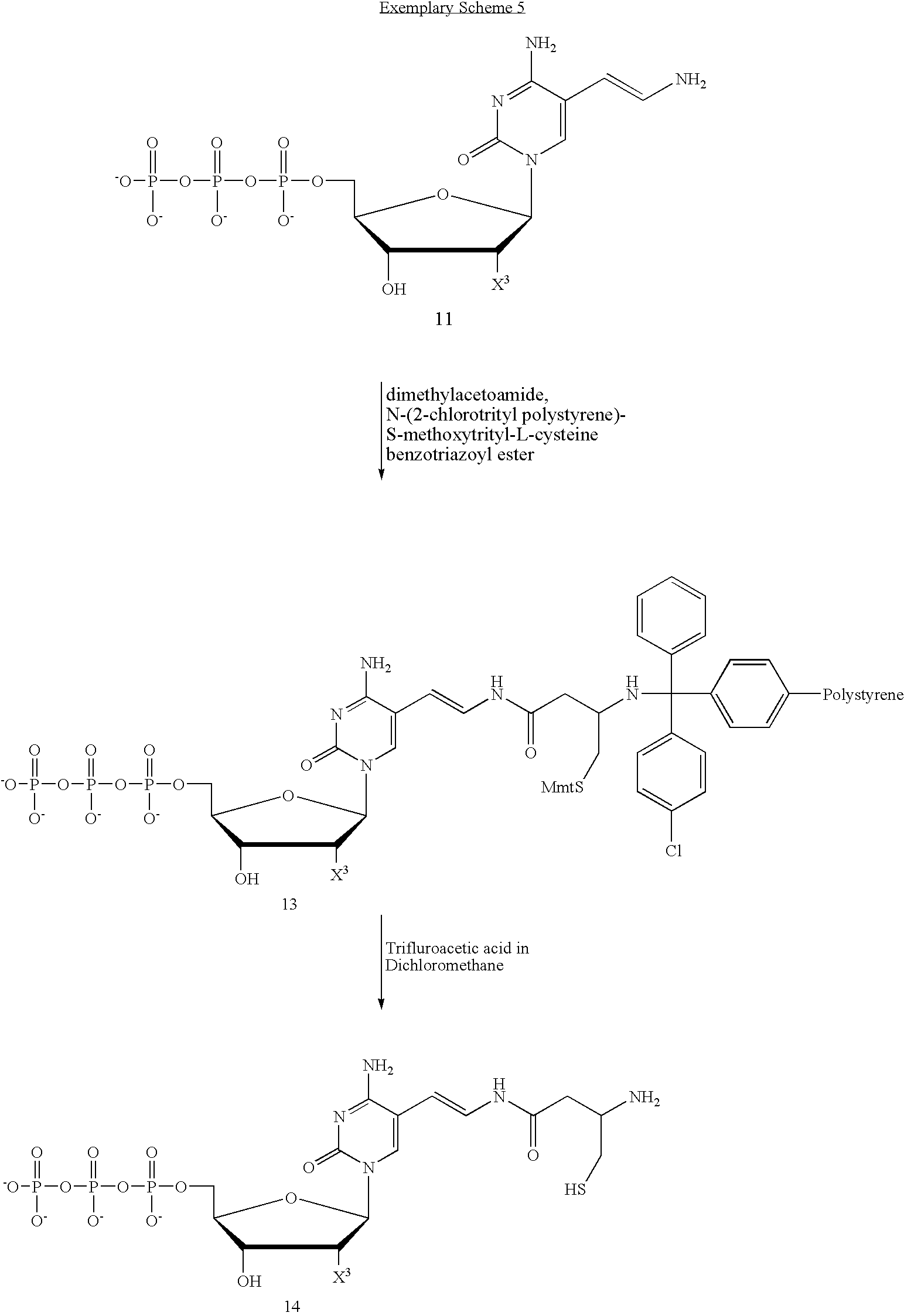 Figure US20060073481A1-20060406-C00008