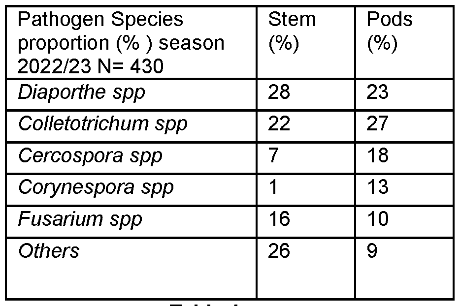 Figure imgf000025_0002
