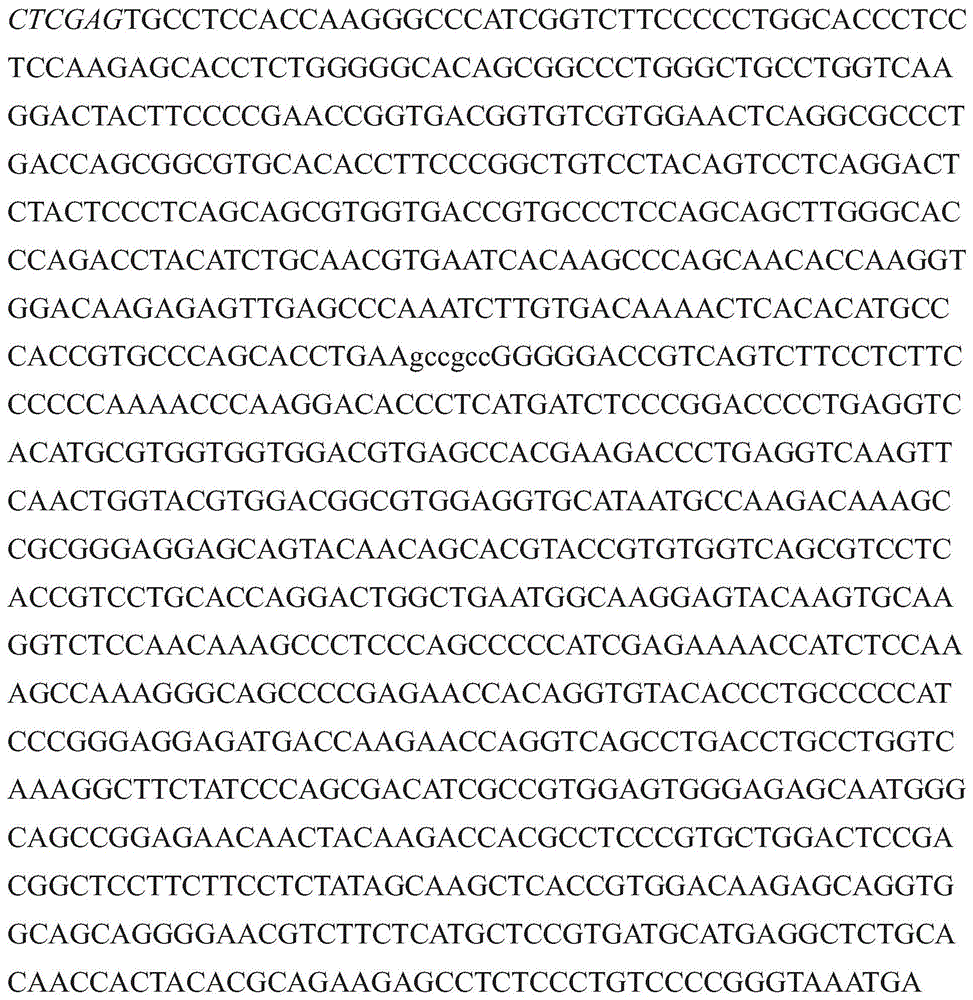 Figure GDA0003152722340000942