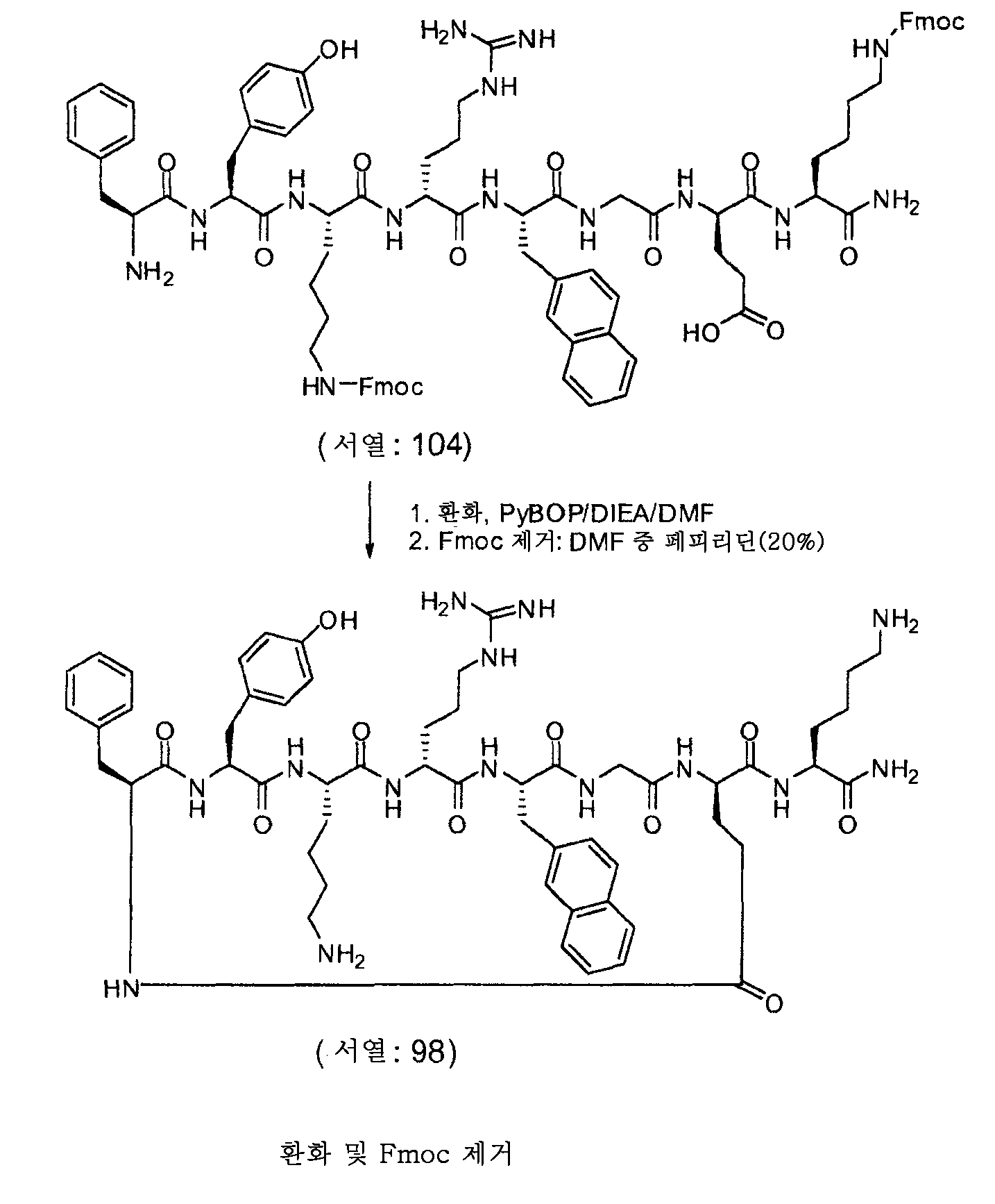 Figure 112009073236969-pct00017