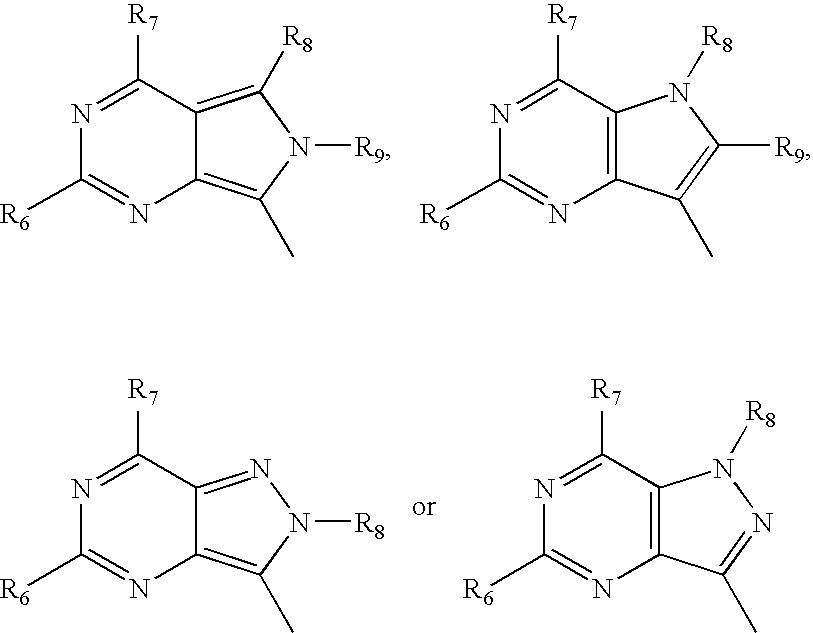 Figure US20040171030A1-20040902-C00076