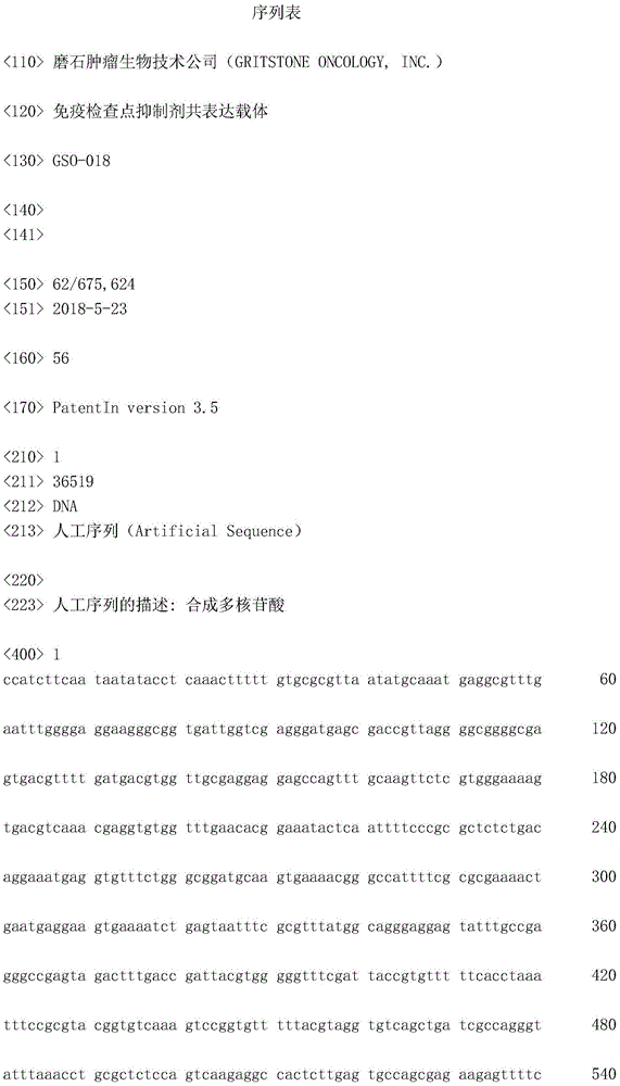 Figure IDA0002872168960000011