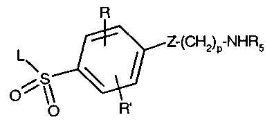 Figure 112004021339433-pct00054