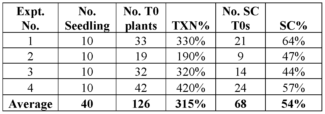 Figure imgf000166_0002