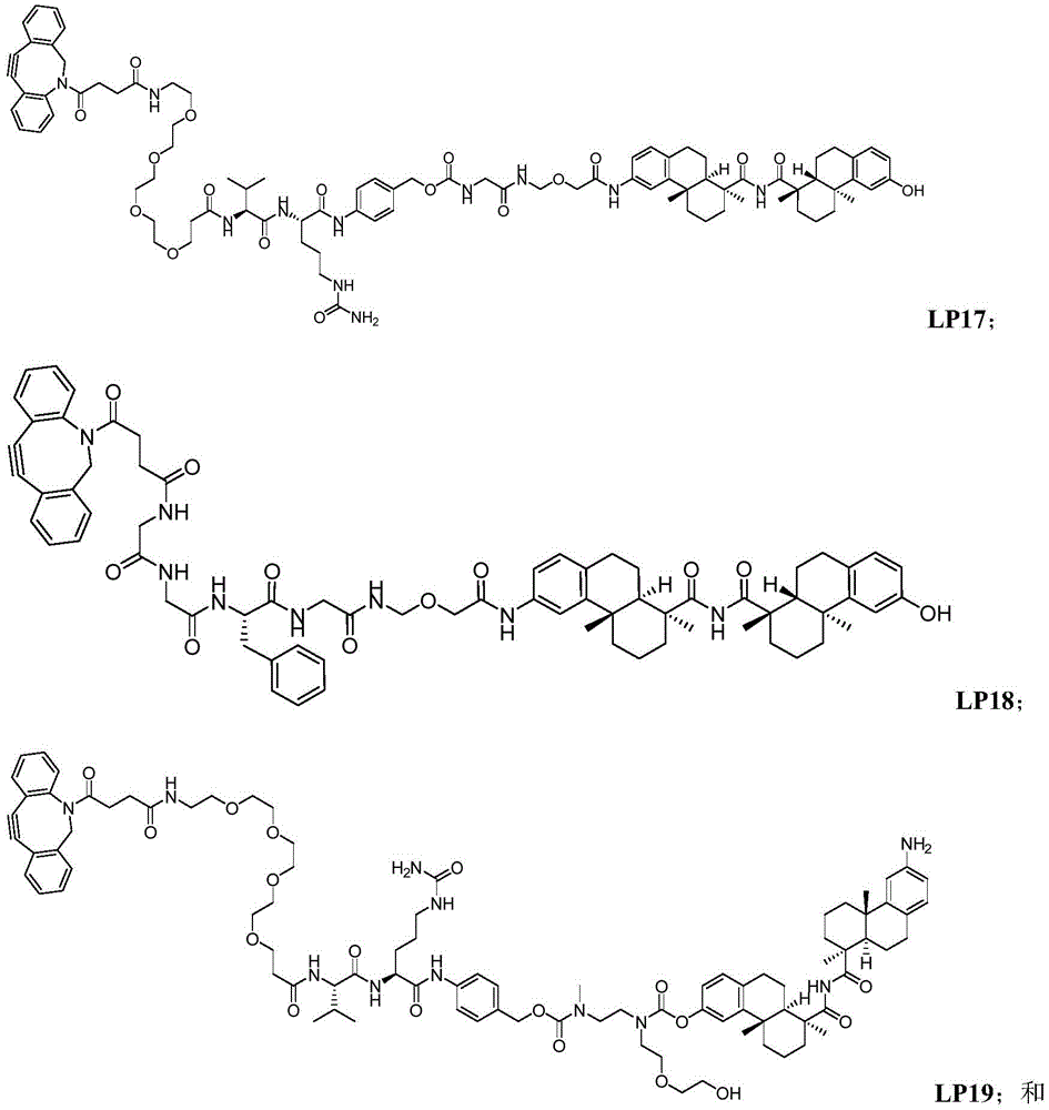Figure BDA0003169092350000921