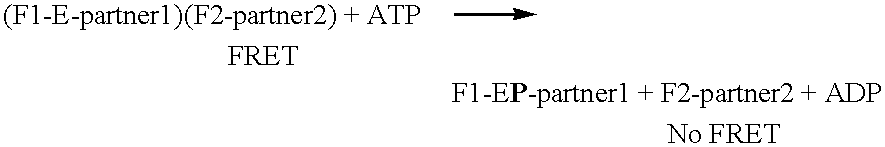 Figure US06808874-20041026-C00001