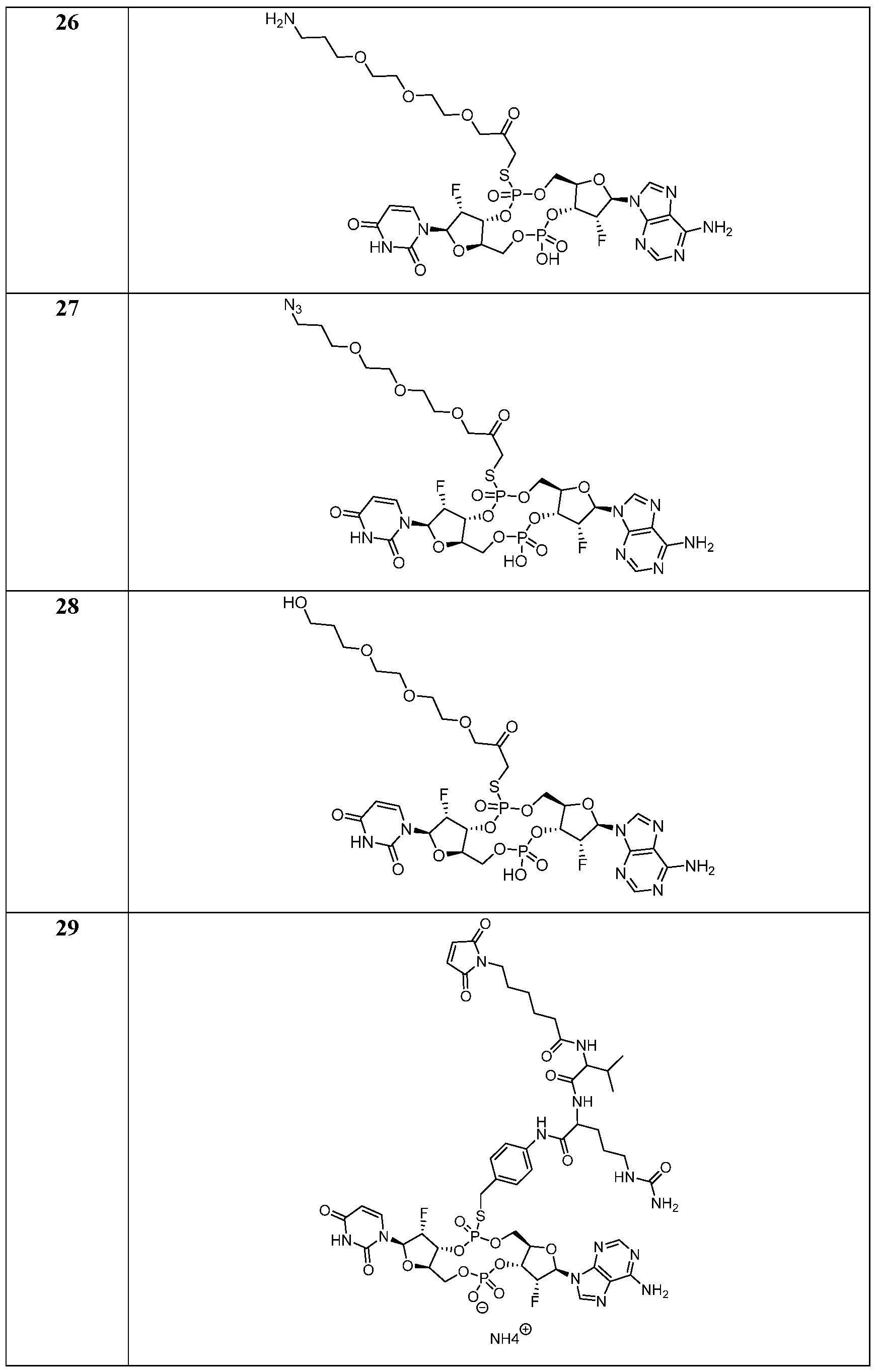 Figure imgf000077_0001