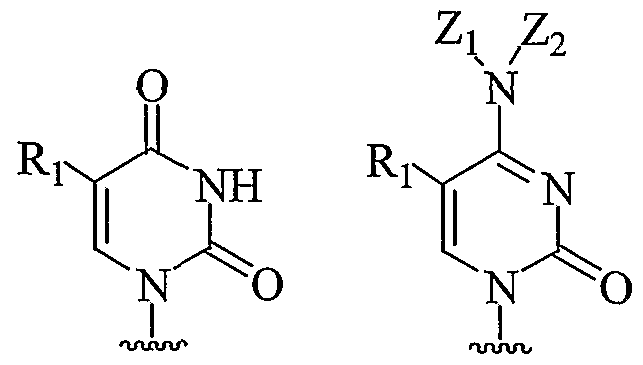 Figure imgf000091_0001