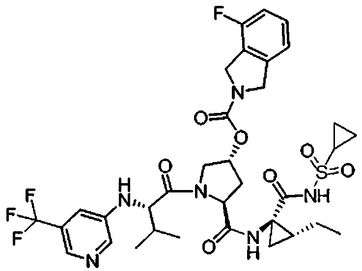 Figure 112009076339753-PCT00074