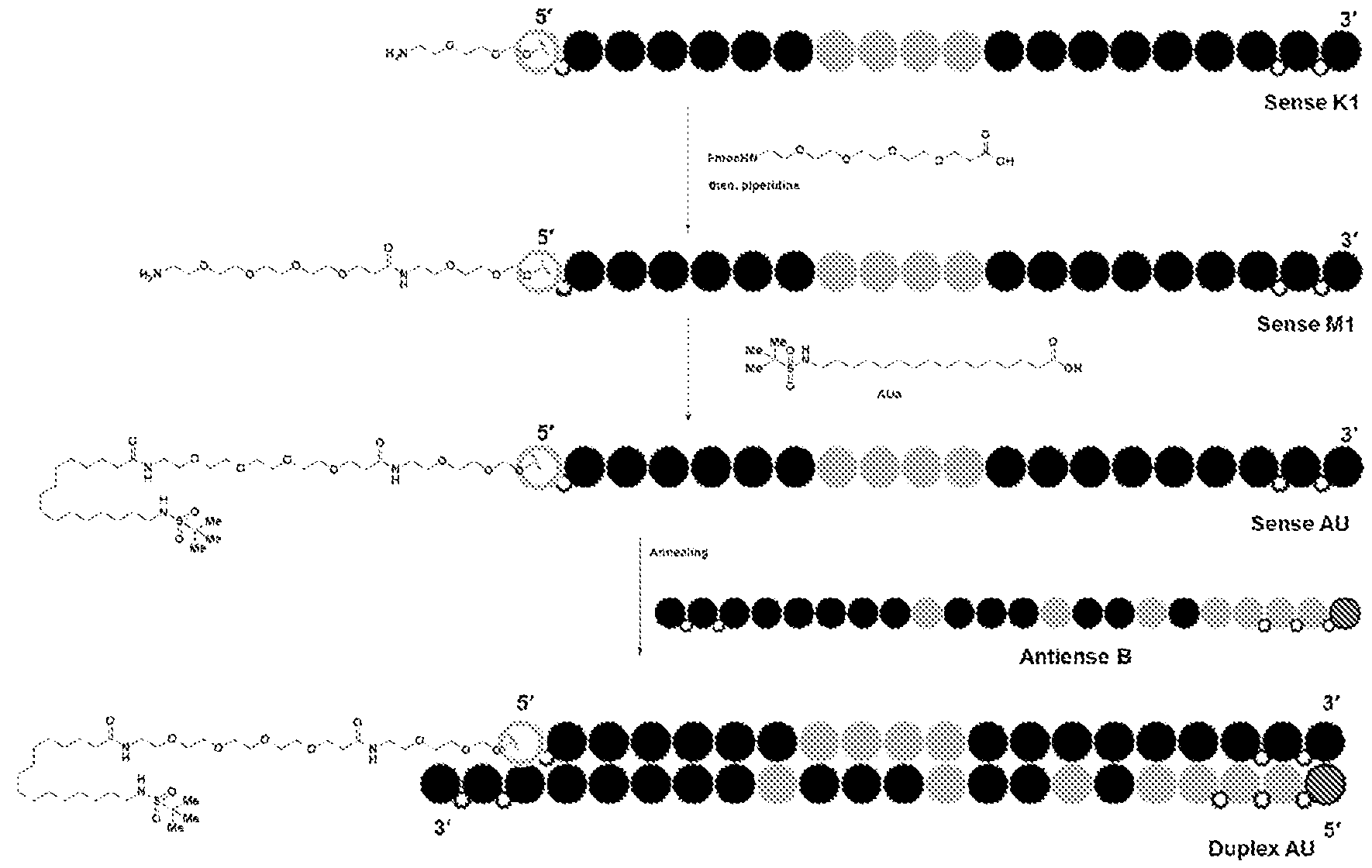 Figure imgf000311_0001