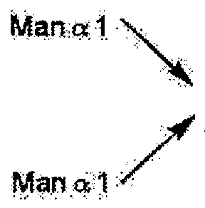 Figure imgf000007_0001