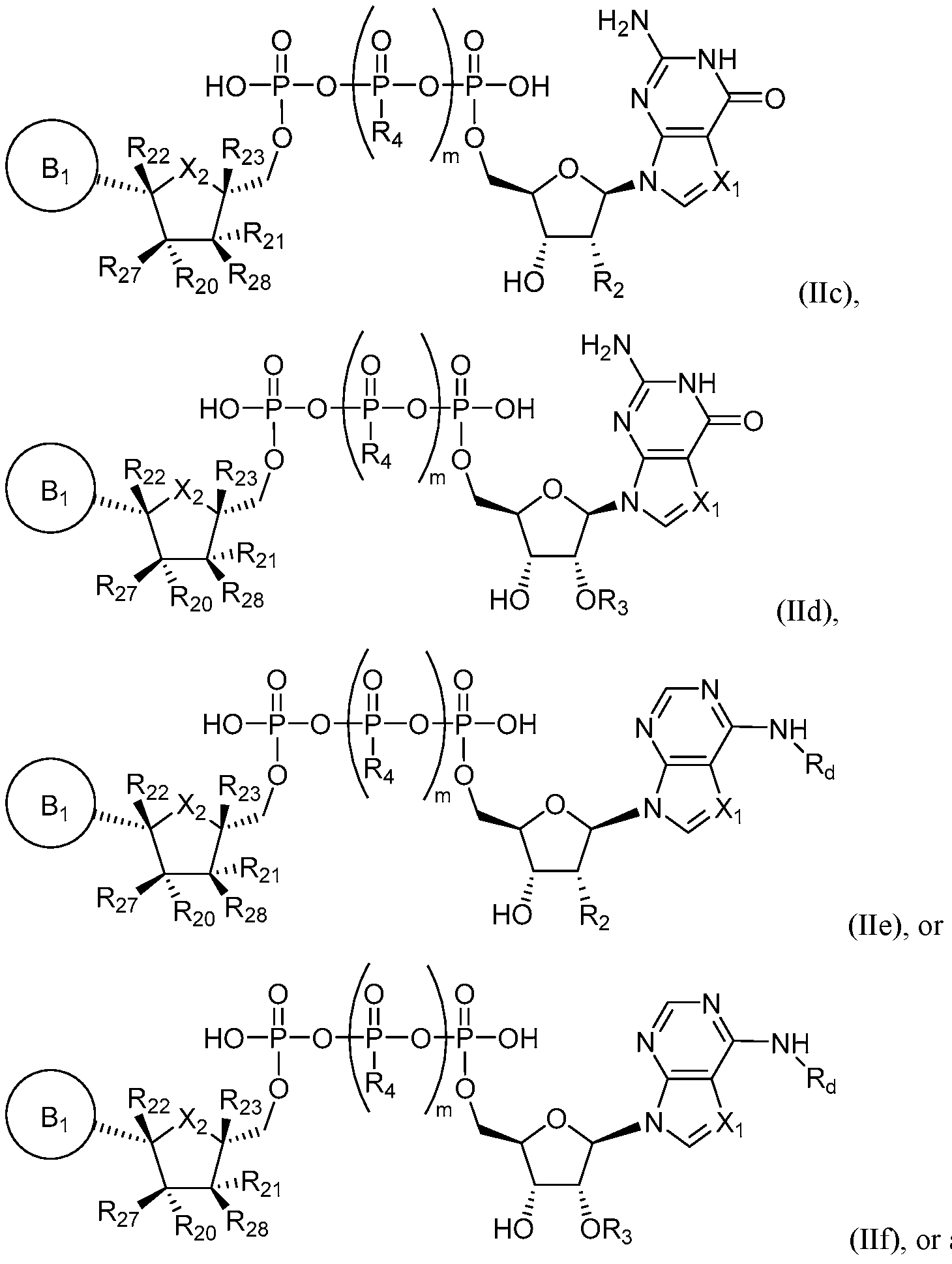 Figure imgf000019_0002