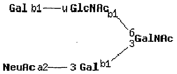 Figure imgf000195_0002