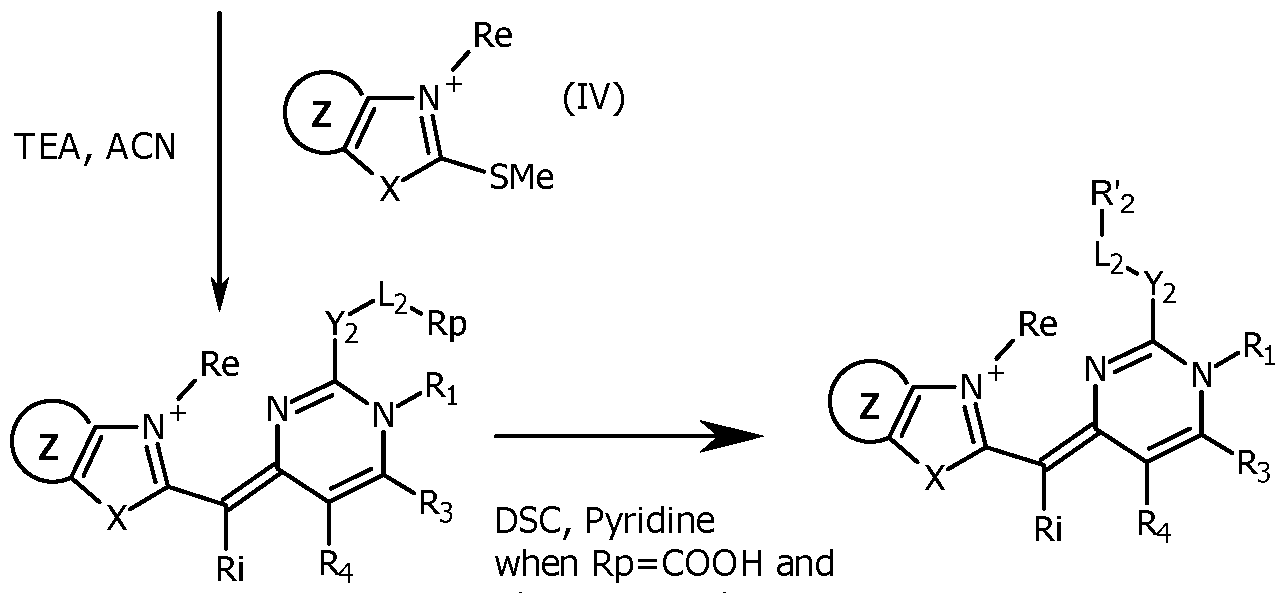 Figure imgf000027_0002