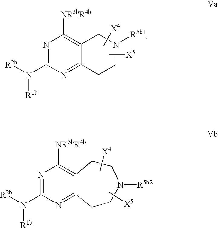 Figure US20030092908A1-20030515-C00010