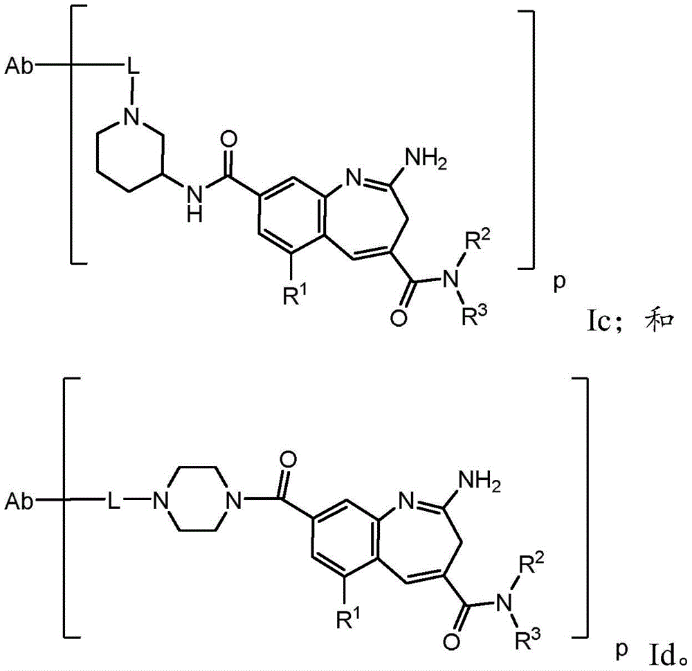 Figure BDA0003652151060000851