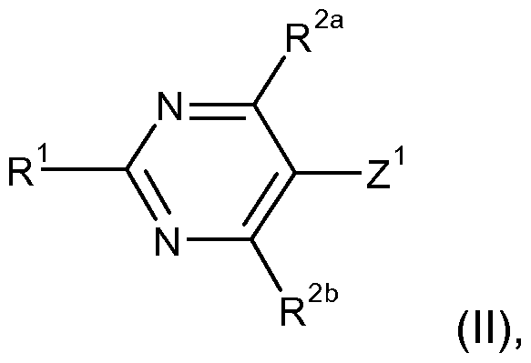 Figure imgf000046_0001