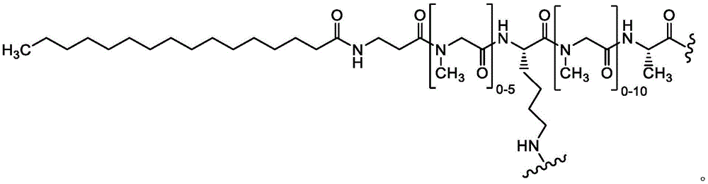 Figure BDA0002385583010000642