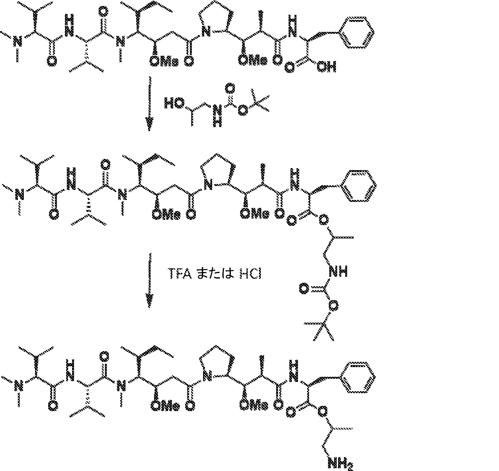 Figure 0007320458000107