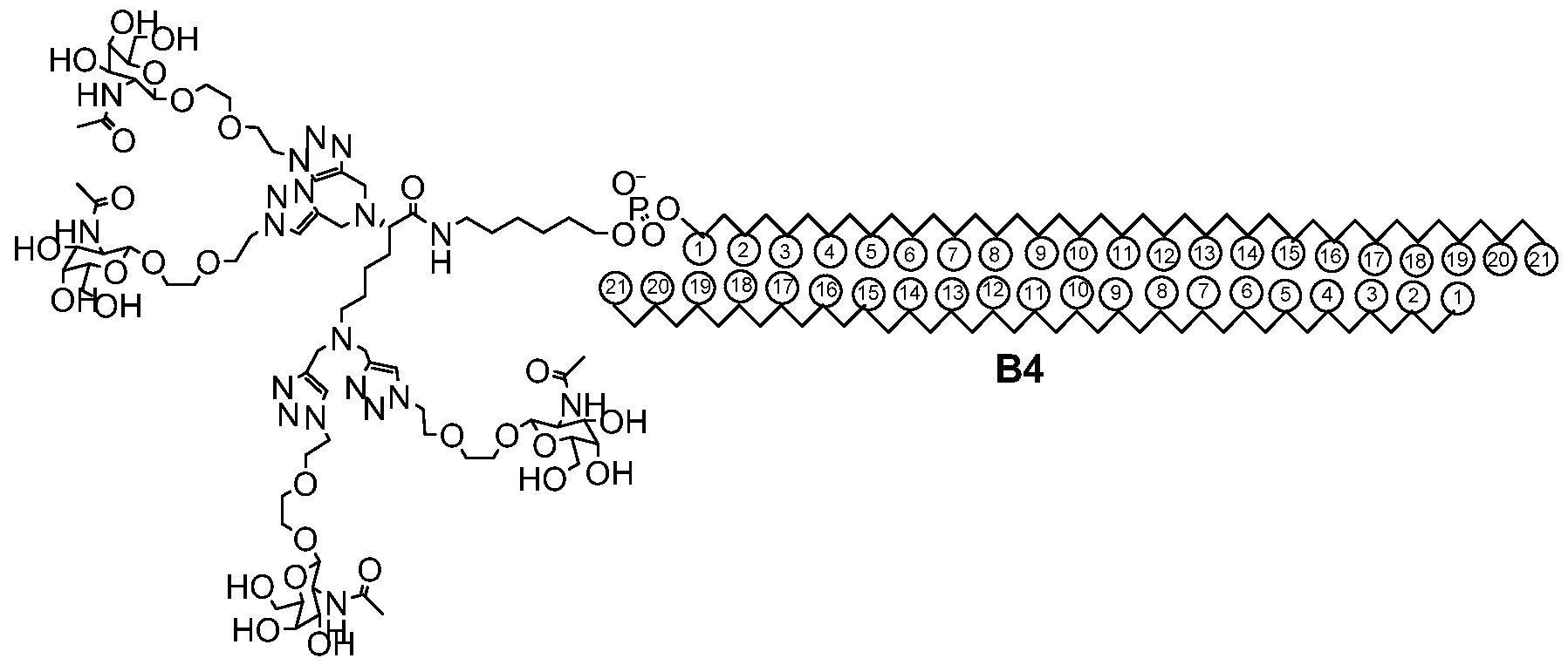 Figure imgf000092_0001