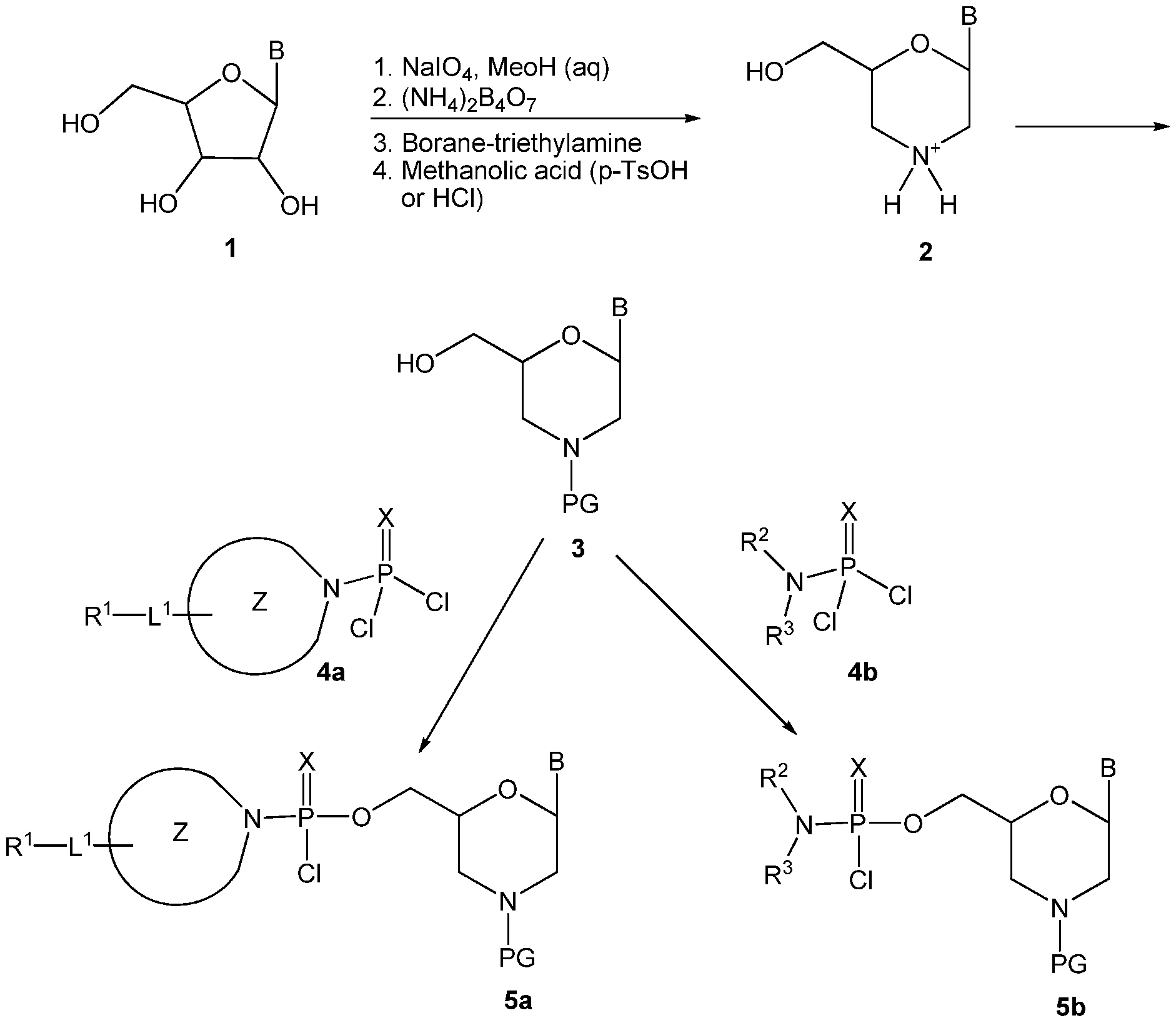 Figure imgf000057_0001