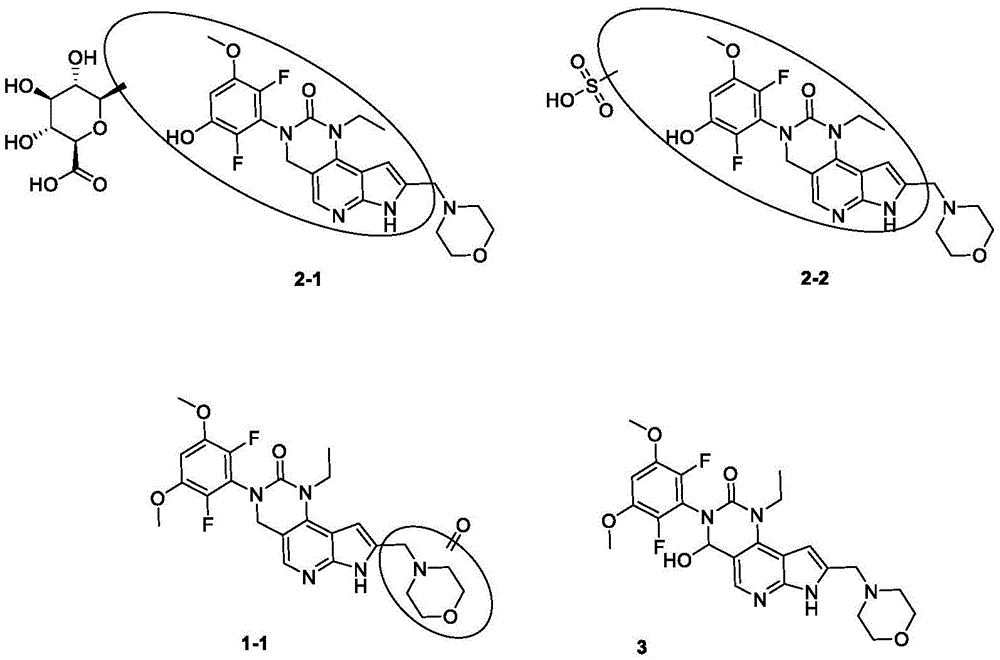 Figure BDA0003677444860000861