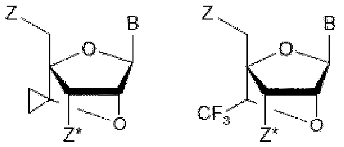 Figure imgf000024_0002