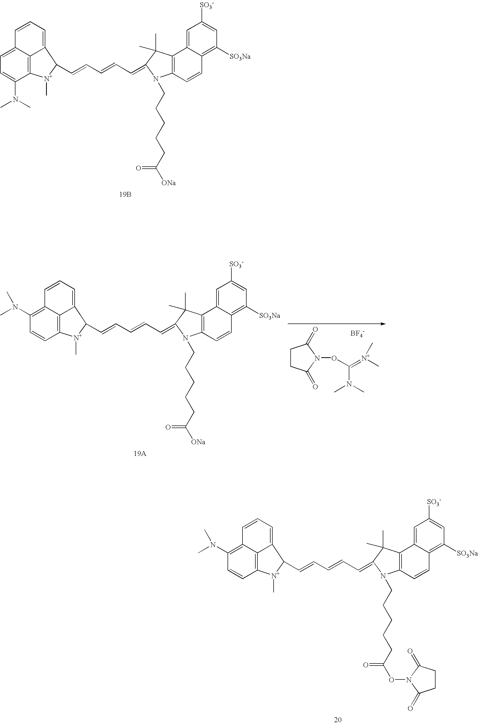 Figure US20070042398A1-20070222-C00033