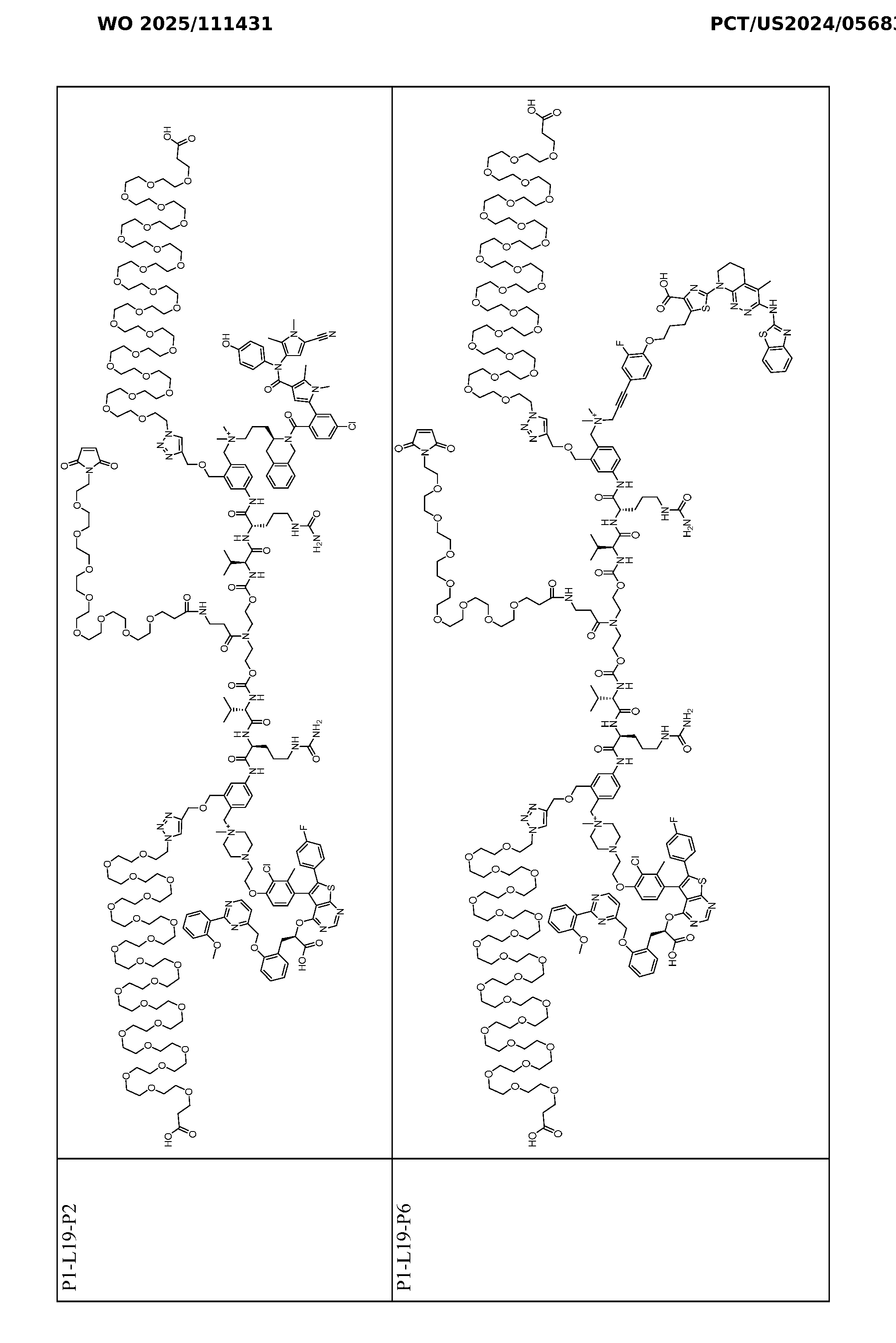 Figure imgf000147_0001
