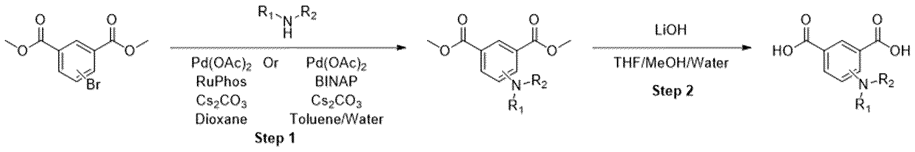 Figure imgf000052_0002
