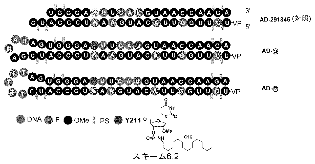 Figure 2025516680000203
