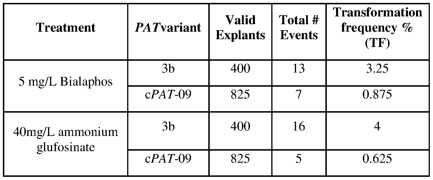 Figure imgf000038_0002