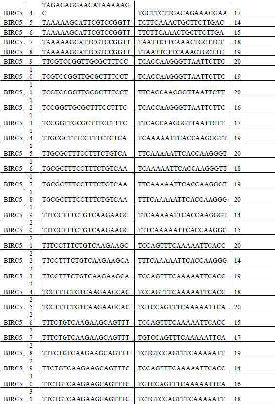 Figure 112020056955871-pat00006