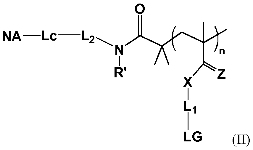 Figure imgf000005_0002