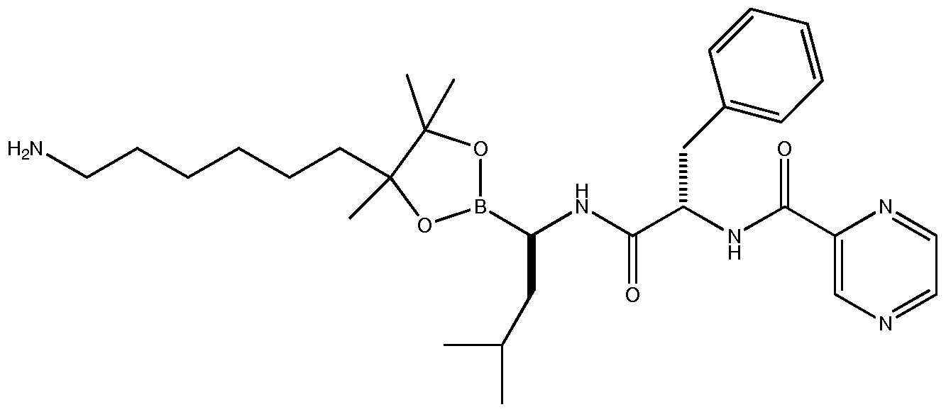Figure imgf000488_0001
